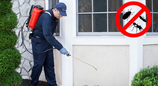 Haliliye Gümüşkurt İlaçlama böcek ilaçlama ve haşere kontrolü — ilaclama-tr.com